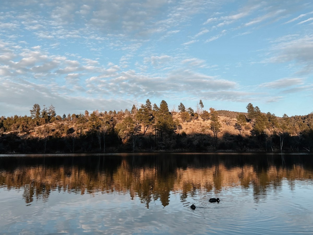 Camping with Kids at Lynx Lake in Prescott,&nbsp;AZ