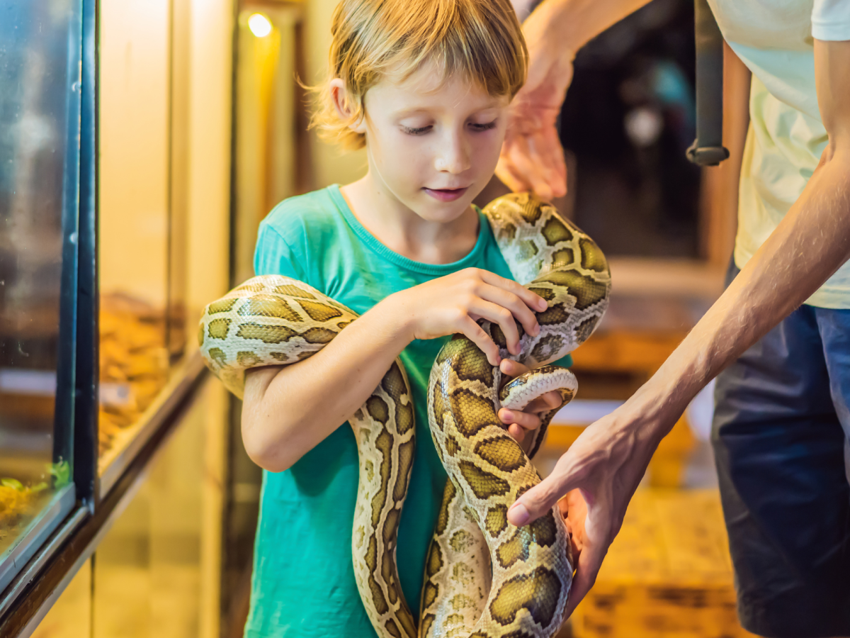 Top 10 Things to Do with Kids in Prescott: A Family Friendly&nbsp;Guide