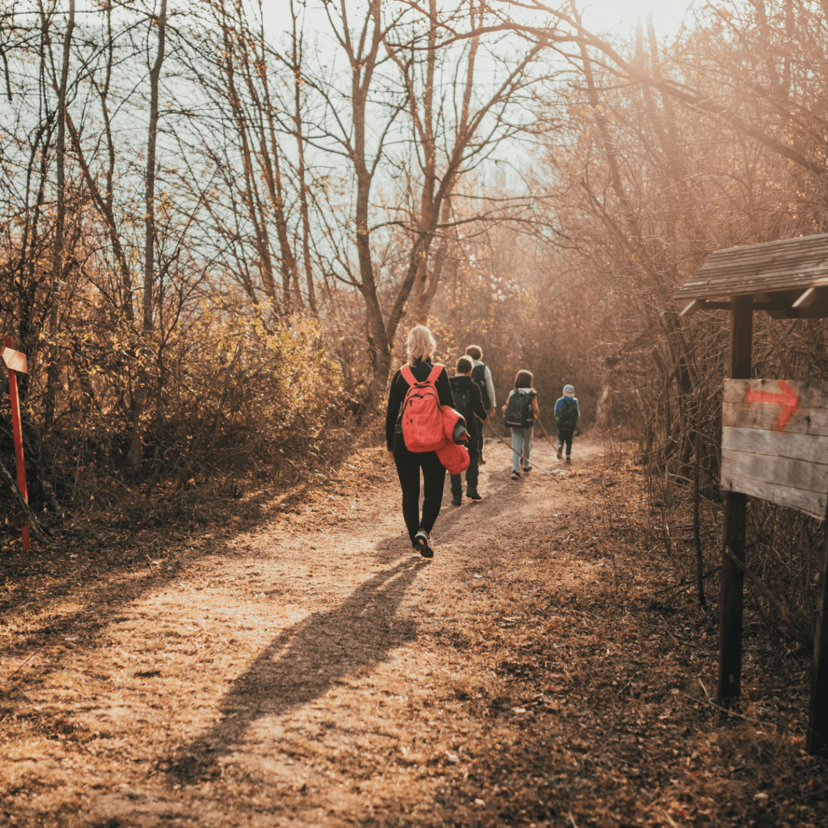 7 Kid Friendly Hiking Trails in Prescott Az That Are Worth the&nbsp;Trek