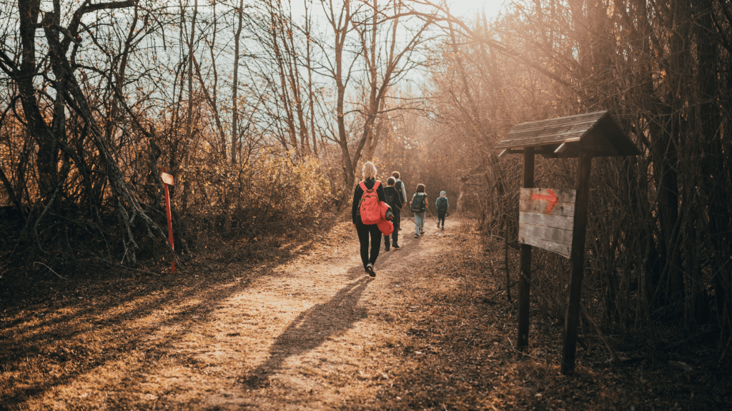 7 Kid Friendly Hiking Trails in Prescott Az That Are Worth the&nbsp;Trek