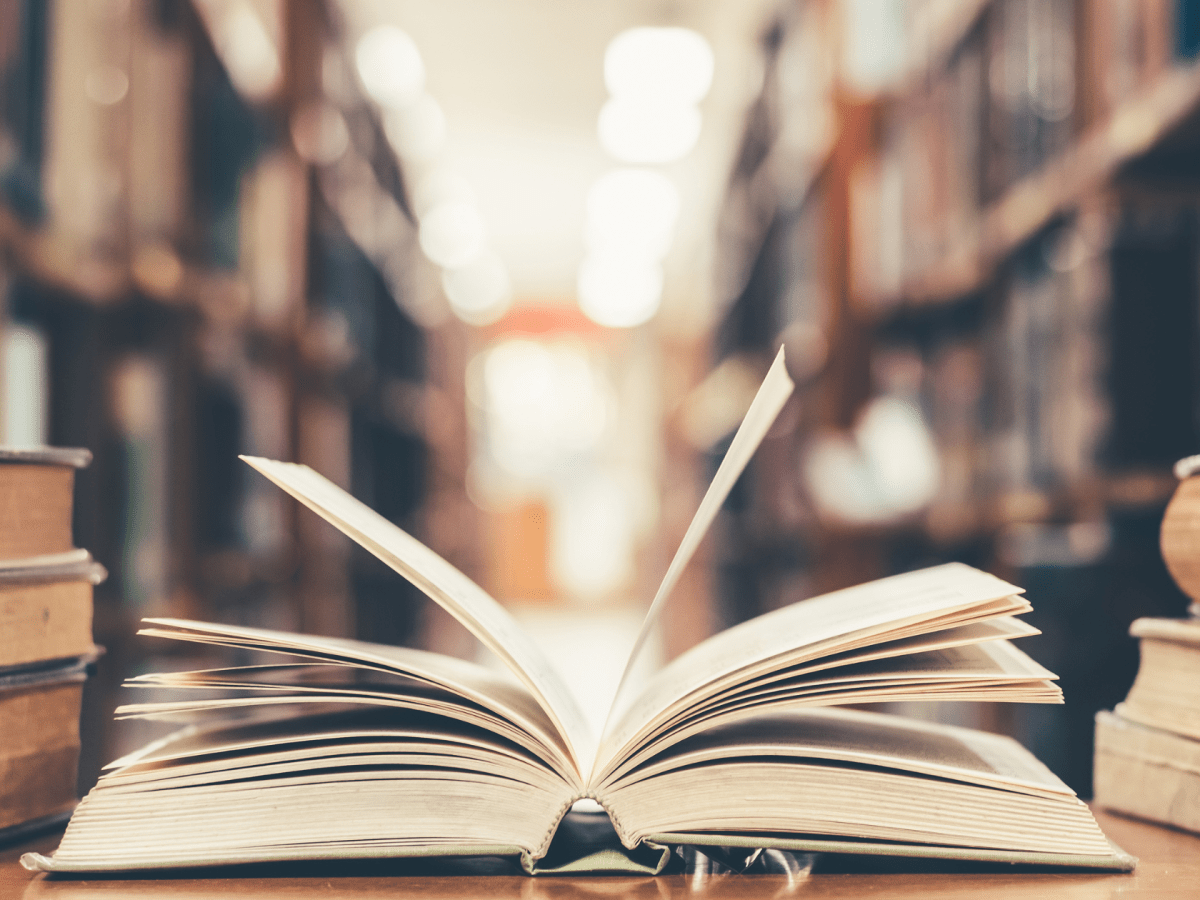 Launch Party for Local Author Amanda Adam’s Second Book in Saelfen&nbsp;Trilogy