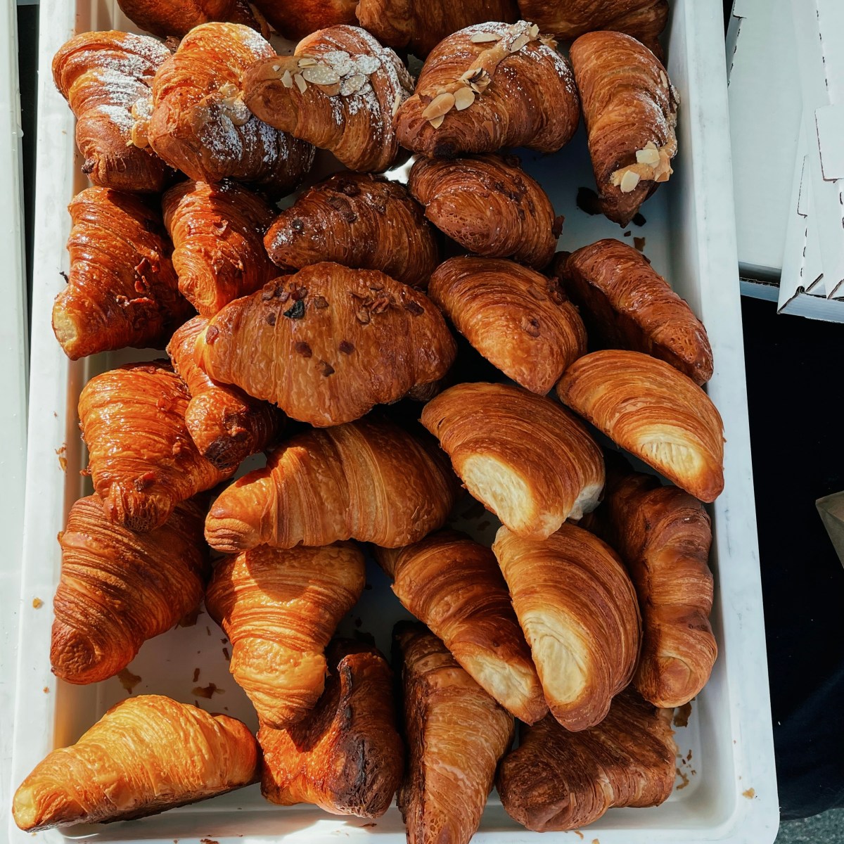 Spotlight: Owner & Chef Max Pelham of Theodore’s Fine&nbsp;Foods