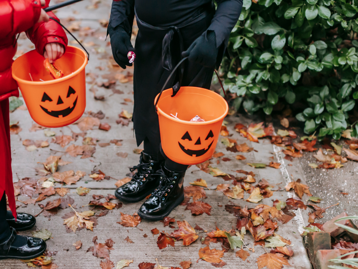 2023 Halloween & Fall&nbsp;Activities